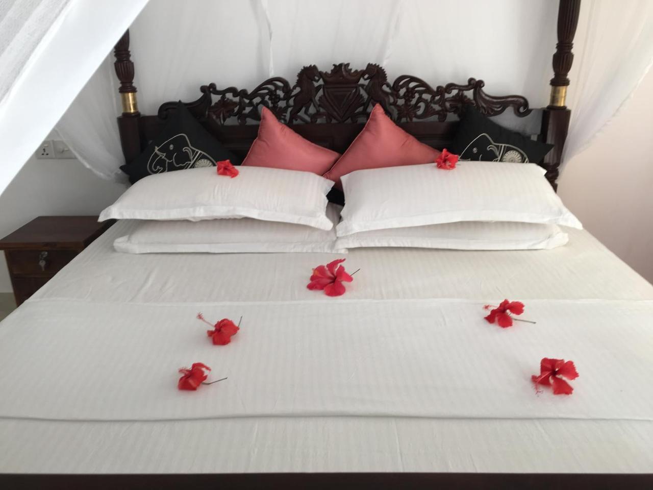 Hotel Sea Breeze Bentota Zewnętrze zdjęcie